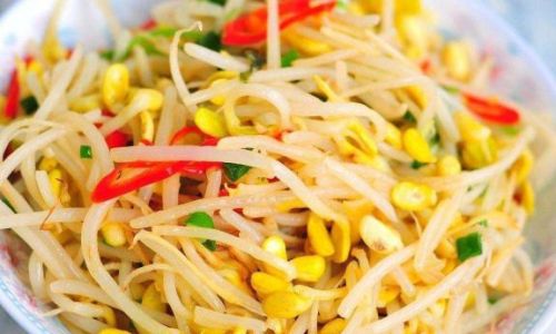 Mastering the Art of Making Delicious Sprouts