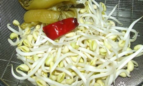 How to Grow Your Own Sprouts at Home