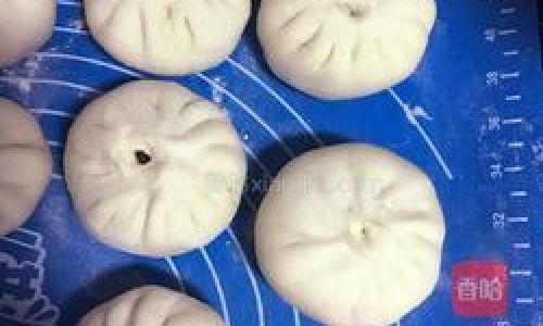 How to Make Red Bean Paste Buns:A Step-by-Step Guide