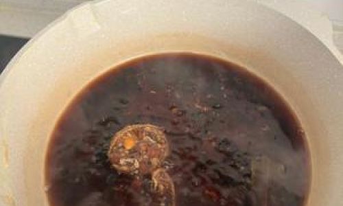 Mastering the Art of Making Tofu Pudding Sauce
