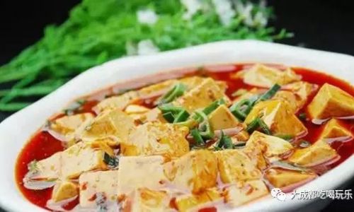 Mastering the Art of Making Chen Mapo Tofu