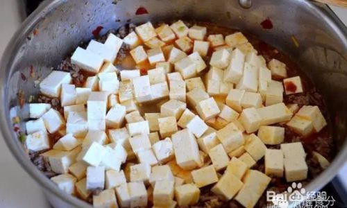 Mastering the Art of Making Chen Mapo Tofu