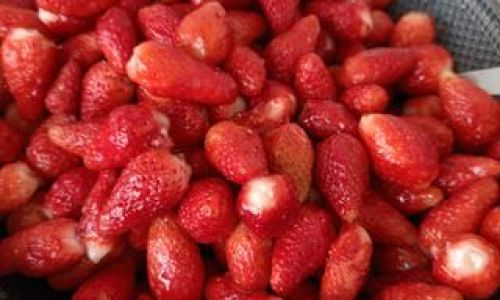 How to Make Authentic Strawberry Ice Cream:The Ultimate Recipe