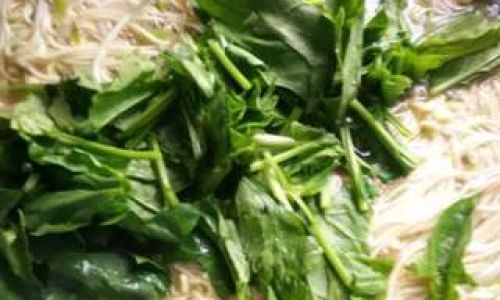 How to Make Delicious Spinach Noodles from Scratch