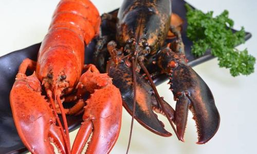How to Cook a Boston Lobster:A Comprehensive Guide