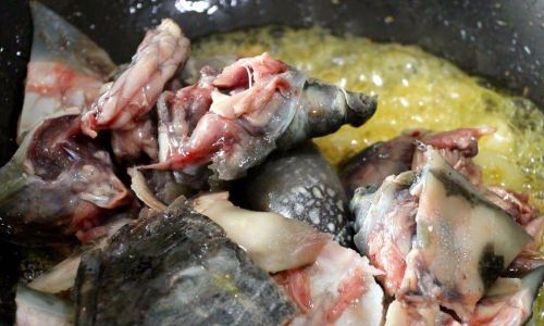 Mastering the Art of Stir-Frying Spicy Soft-Shelled Turtle:A Culinary Journey