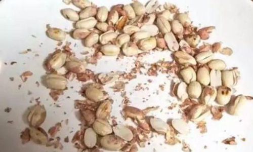 How to Make Homemade Dried Salted Ginger