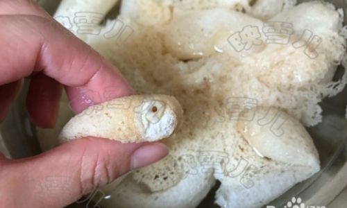 How to Cook Bamboo Fungus Dictyophora indusiata)A Culinary Guide