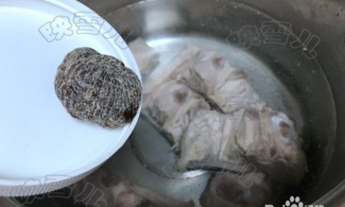 How to Cook Bamboo Fungus Dictyophora indusiata)A Culinary Guide