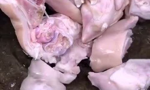 How to Cook Delicious and Easy-to-Make Pig Trotters