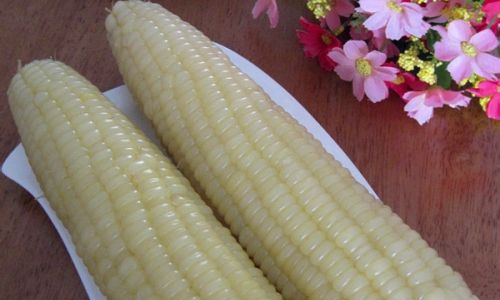 How to Cook Corn on the Cob to Perfection