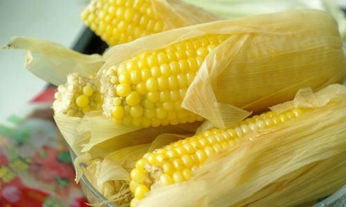 How to Cook Corn on the Cob to Perfection