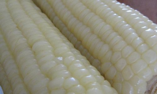 How to Cook Corn on the Cob to Perfection
