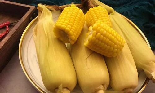 How to Cook Corn on the Cob to Perfection