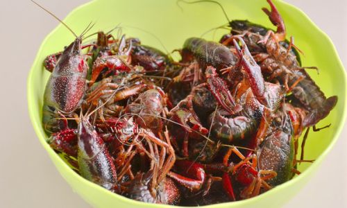 How to Cook Lobster:A Step-by-Step Culinary Guide