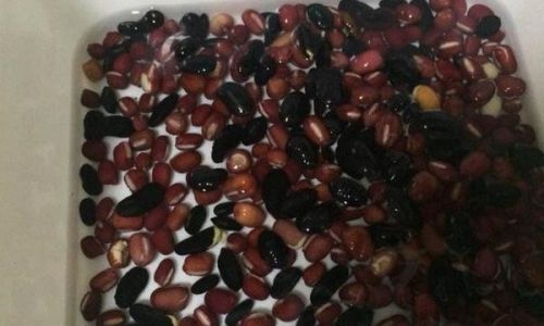 Mastering the Art of Cooking Soft and Creamy Red Bean Porridge