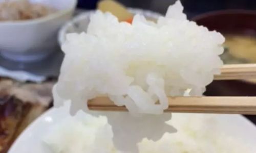 Mastering the Art of Cooking a Perfect Bowl of White Rice
