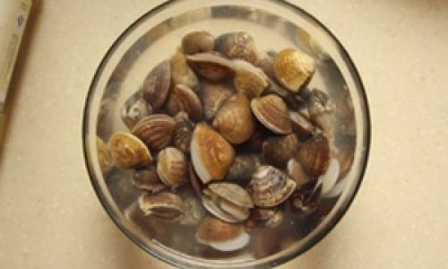 How to Cook Clams:A Step-by-Step Guide for Seafood Lovers