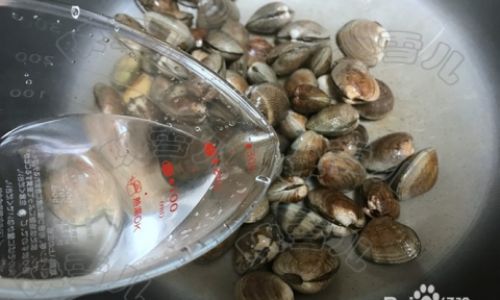 How to Cook Clams:A Step-by-Step Guide for Seafood Lovers