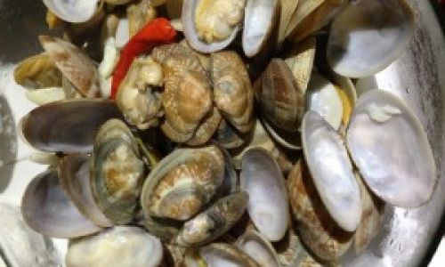 How to Cook Clams:A Step-by-Step Guide for Seafood Lovers