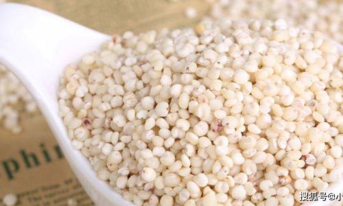 How to Cook Sorghum Rice:A Comprehensive Guide
