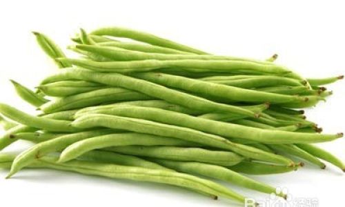 How to Cook Dried Green Beans Quickly and to Perfection