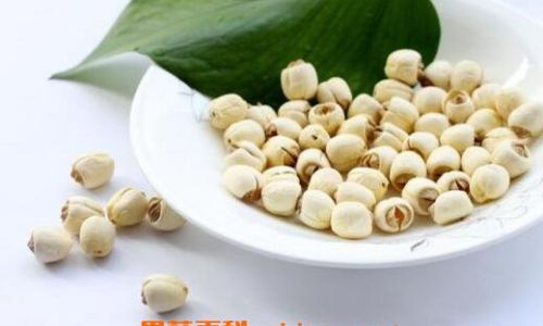 How to Cook Dried Lotus Seeds:A Comprehensive Guide