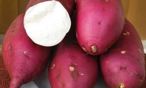 How to Boil Sweet Potatoes:A Step-by-Step Guide