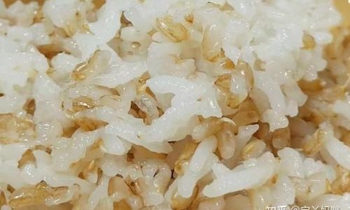 How to Cook Perfect Brown Rice:A Step-by-Step Guide