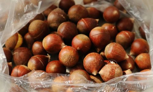How to Cook Chestnuts Faster:Efficient Techniques and Tips