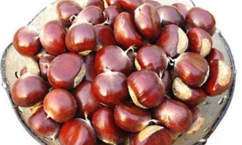 How to Cook Chestnuts:Achieving Deliciousness and Easy Peeling