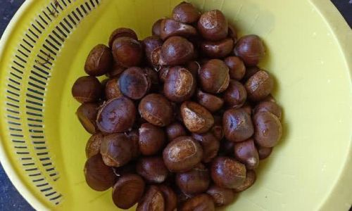 How to Cook Chestnuts:Achieving Deliciousness and Easy Peeling