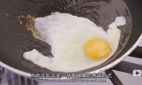 Mastering the Art of Boiling the Perfect Plain Hard-Boiled Egg