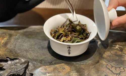 Mastering the Art of Brewing White Tea:A Comprehensive Guide