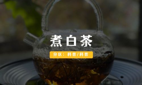 Mastering the Art of Brewing White Tea:A Comprehensive Guide