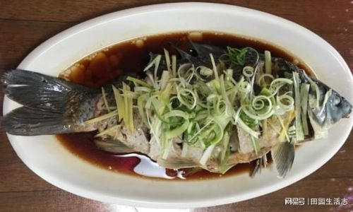 How to Cook Nutritious and Delicious Stewed Carp