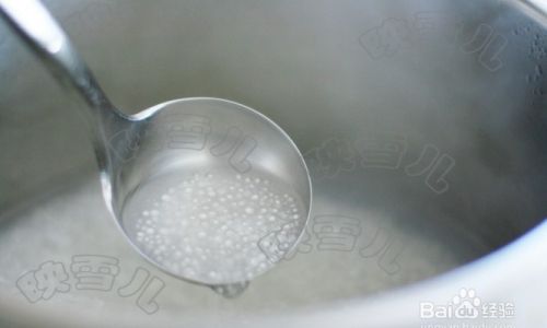 How to Make Homemade Coconut Milk:A Step-by-Step Guide