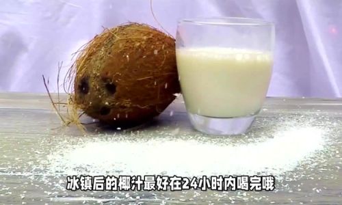 How to Make Homemade Coconut Milk:A Step-by-Step Guide