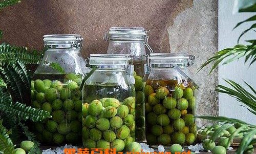 How to Make Plum Juice:A Step-by-Step Guide