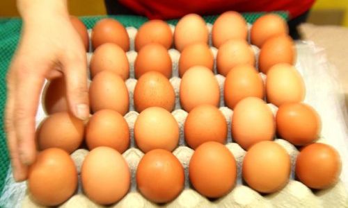 How to Choose Eggs the Right Way