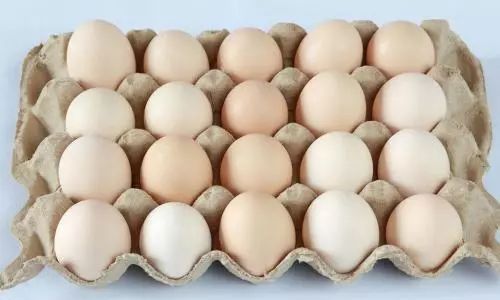 How to Choose Eggs the Right Way