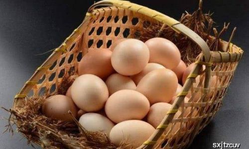 How to Choose Eggs the Right Way