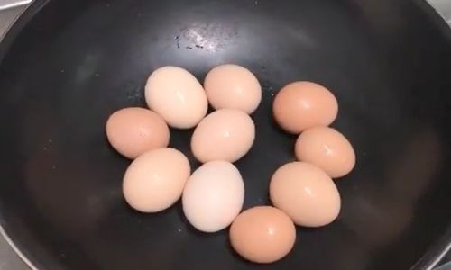 Mastering the Art of Boiling a Perfect Plain Hard-Boiled Egg