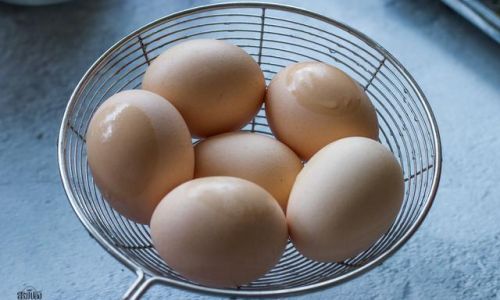 Mastering the Art of Boiling a Perfect Plain Hard-Boiled Egg