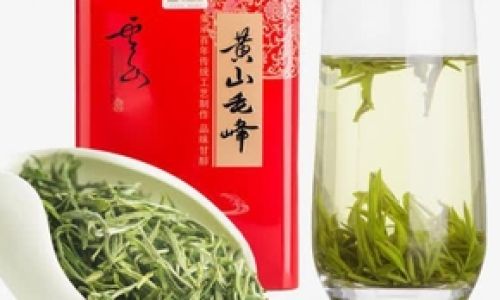 Mastering the Art of Brewing Huangshan Maofeng Tea