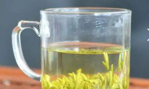 Mastering the Art of Brewing Huangshan Maofeng Tea