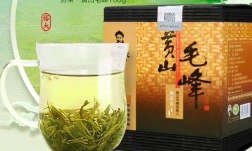 Mastering the Art of Brewing Huangshan Maofeng Tea