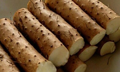 How to Steam Iron Stick Yam Dioscorea Opposita)