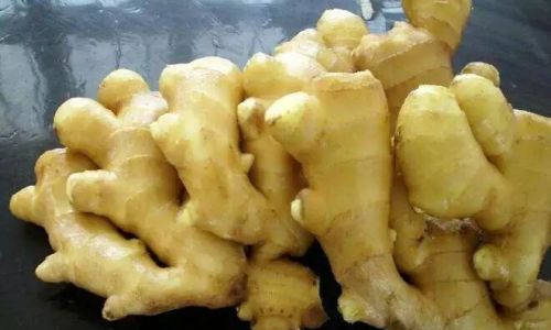 How to Preserve Fresh Ginger for Extended Periods