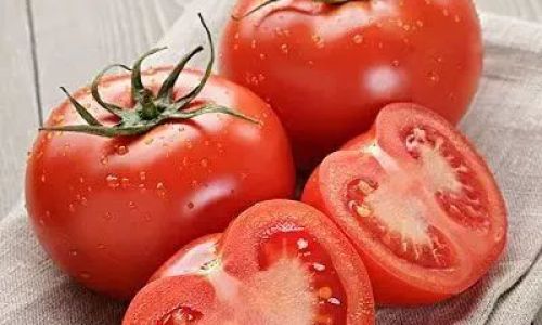 How to Preserve Tomatoes for Extended Periods